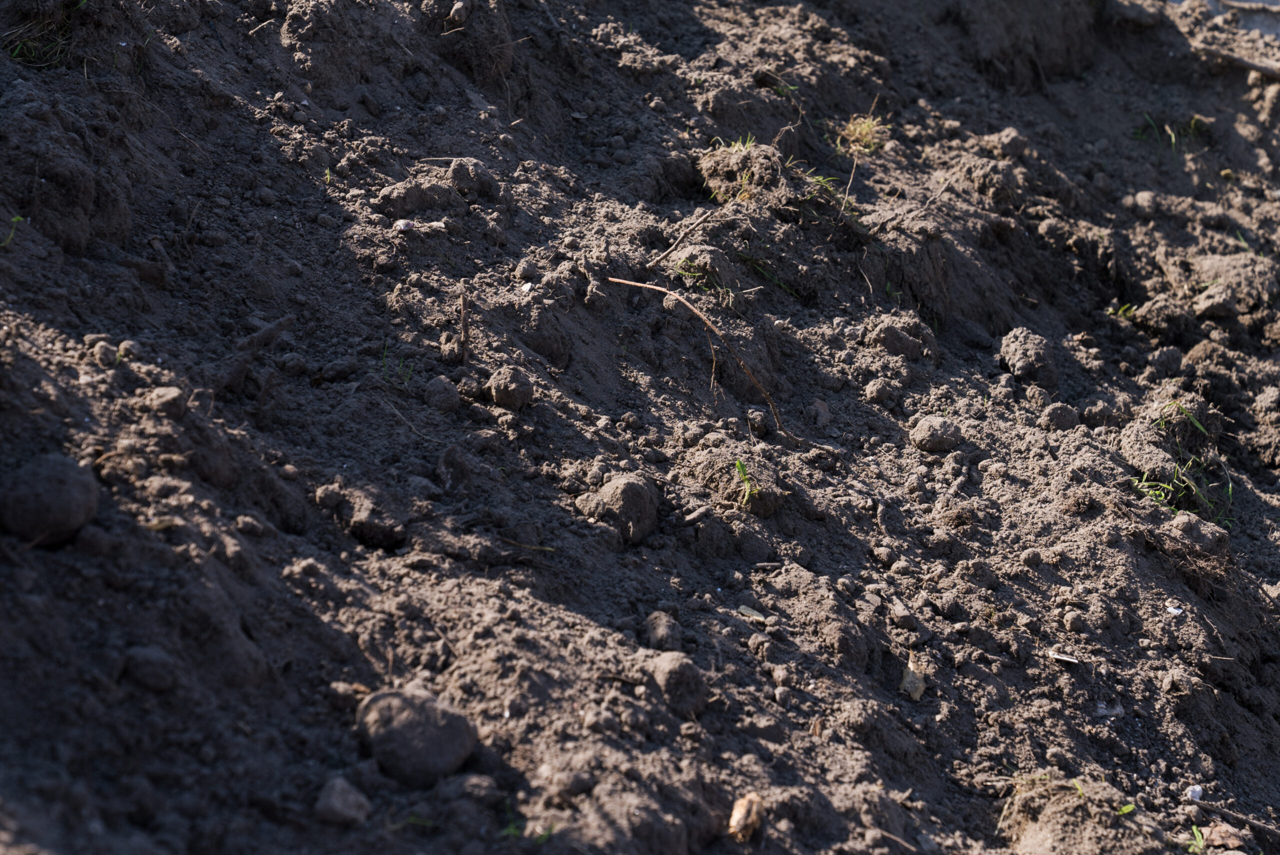 Grondafval Grondafval